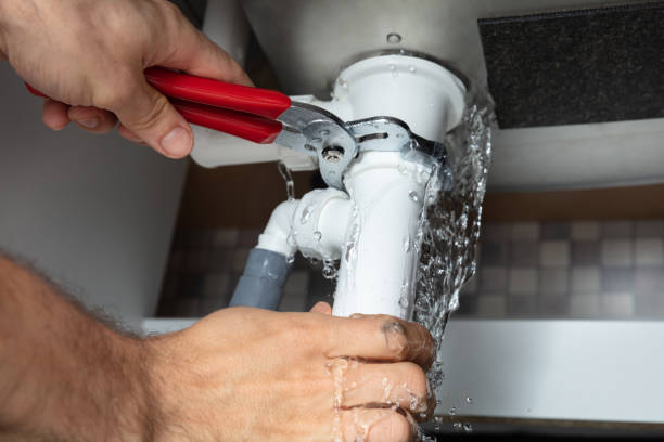 Best Flood damage cleanup  in Clearwater, FL