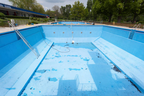 Best 24/7 water damage repair  in Clearwater, FL