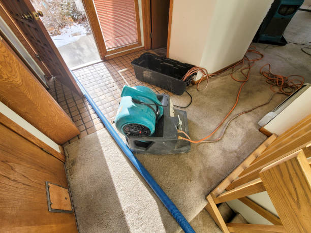 Best Water damage restoration near me  in Clearwater, FL