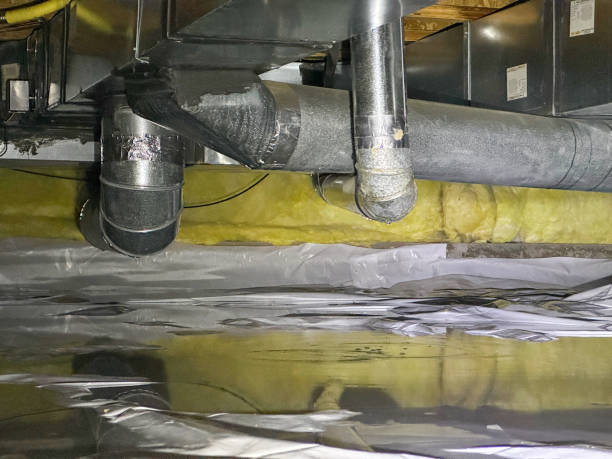 Best Emergency water extraction  in Clearwater, FL