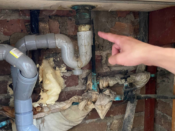 Best Fire Damage Restoration  in Clearwater, FL