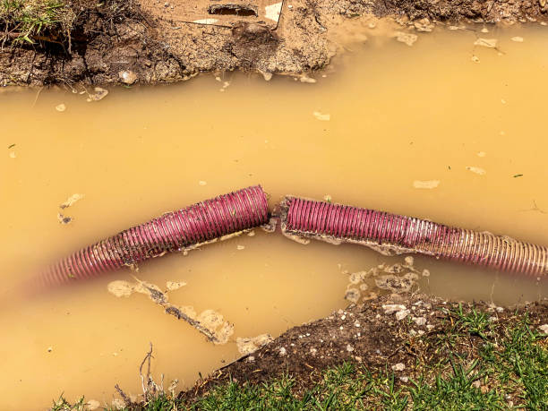 Best Residential water damage restoration  in Clearwater, FL