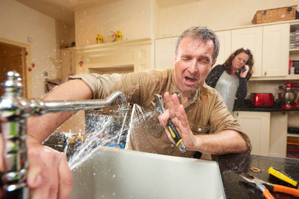 Best Mold removal after water damage  in Clearwater, FL